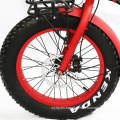 Mini Folding Fat Tire Electric Bike with LED Display